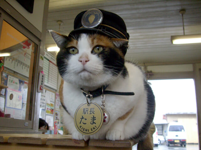 tama1
