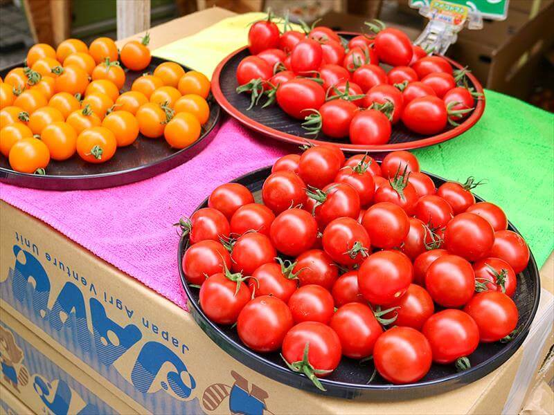 A variety of tomatoes are out for anybody to try.